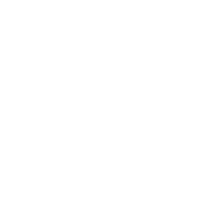 logo (1)